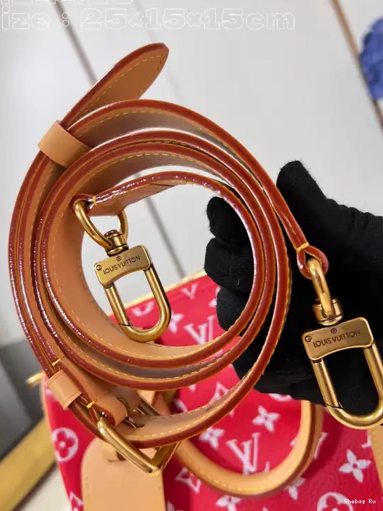 25 Vuitton Louis SPEEDY 0524